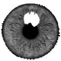 optomore_iris3